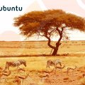 Wild ubuntu