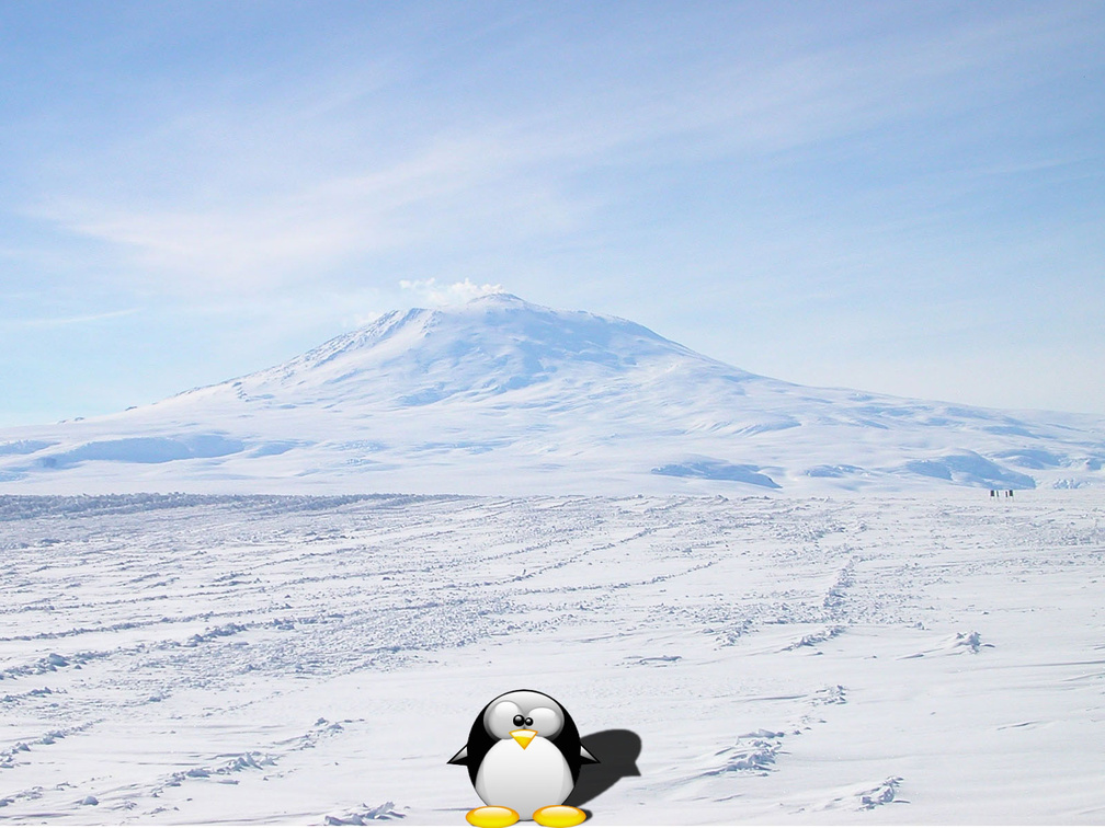 Tux In Antartica