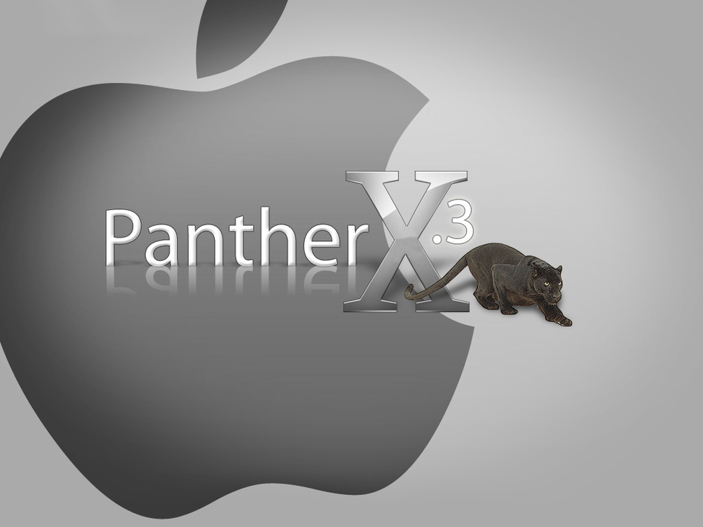 Panther X.3