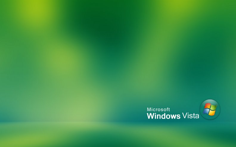 microsoft_windows_vista.jpg