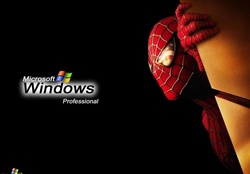 WinXP Pro _ Spiderman