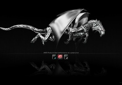 AMD Dragon Phenom 64