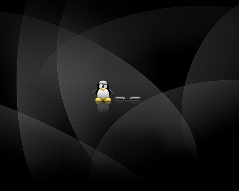 black_pinguin.jpg
