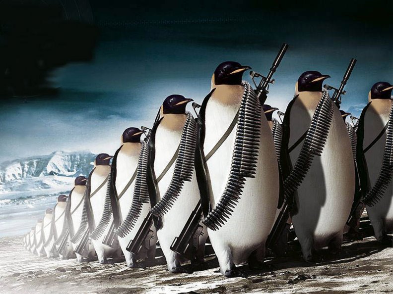 penguin_army.jpg