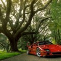 Ferrari in the park