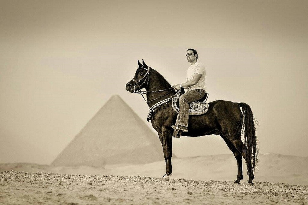 Egypt horse(rider)