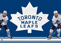 3 RD,Leafs Logo