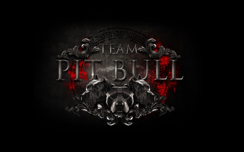 team_pitbull.jpg