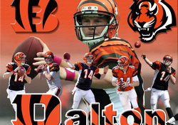 Andy Dalton: Cincinnati Bengals quarterback