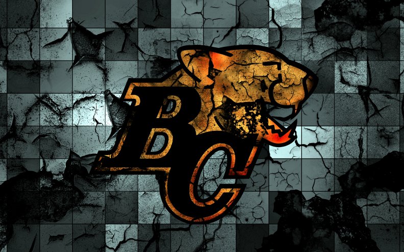 bc_lions_cfl_logo.jpg