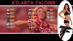 Atlanta Falcons cheerleader