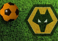 Wolves Pitch