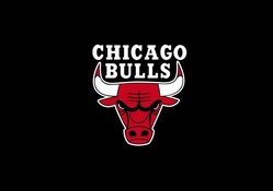 The Chicago Bulls