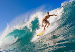 brave surfer