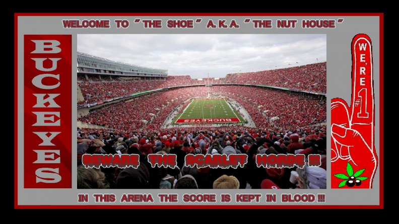 WELCOME TO THE SHOE A.K.A. THE NUT HOUSE