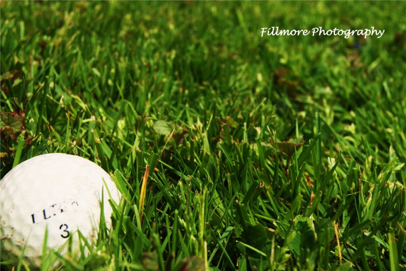 Golf ball _