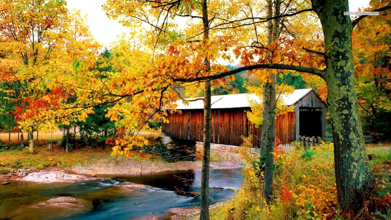 covered_bridge_over_autumn_river.jpg
