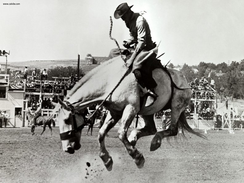 Old Time Rodeo