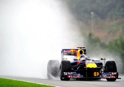 Sebastien Vettel Rain