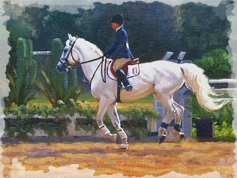 competition_grey_horse_2.jpg
