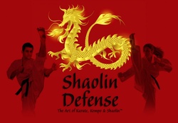 shaolin defense