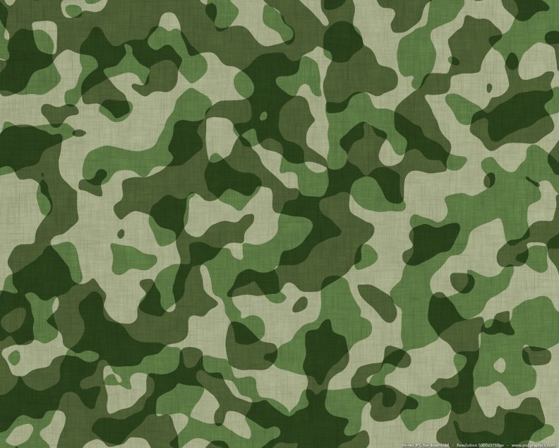 camouflage.jpg
