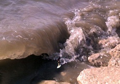 Surfer's last wave