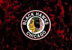 Blackhawks #11