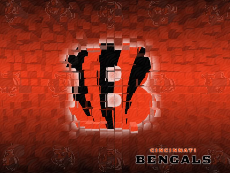NFL Cincinati Bengals