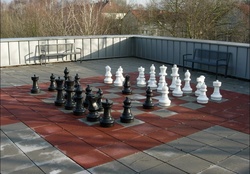 Autumn chess