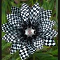 NASCAR_Flower