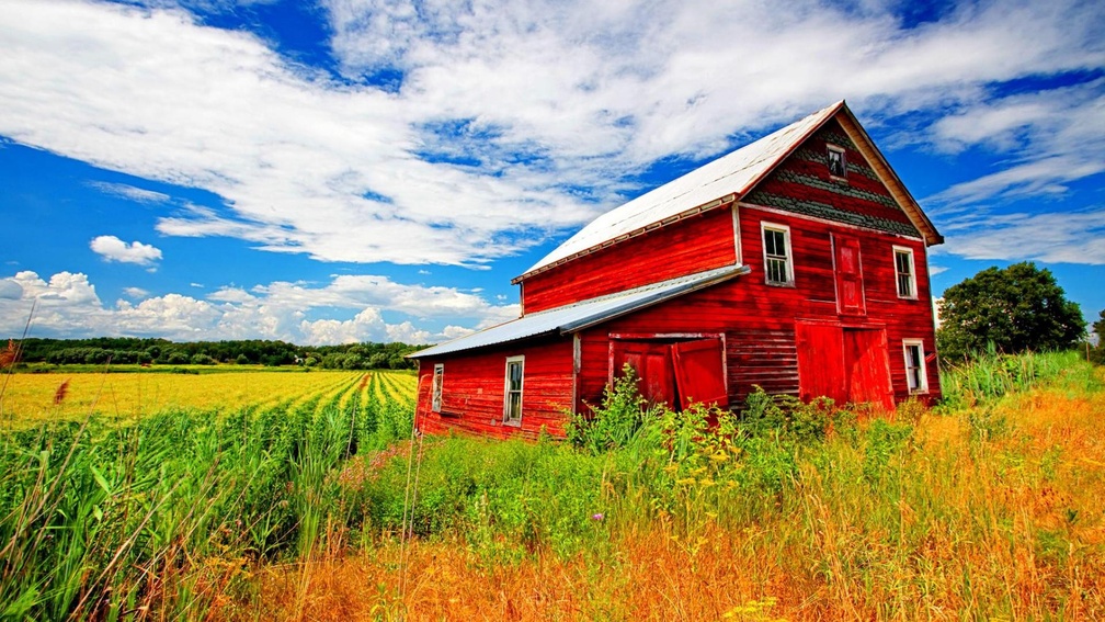 the red barn on a summer day