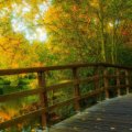 wooden park bridge hdr