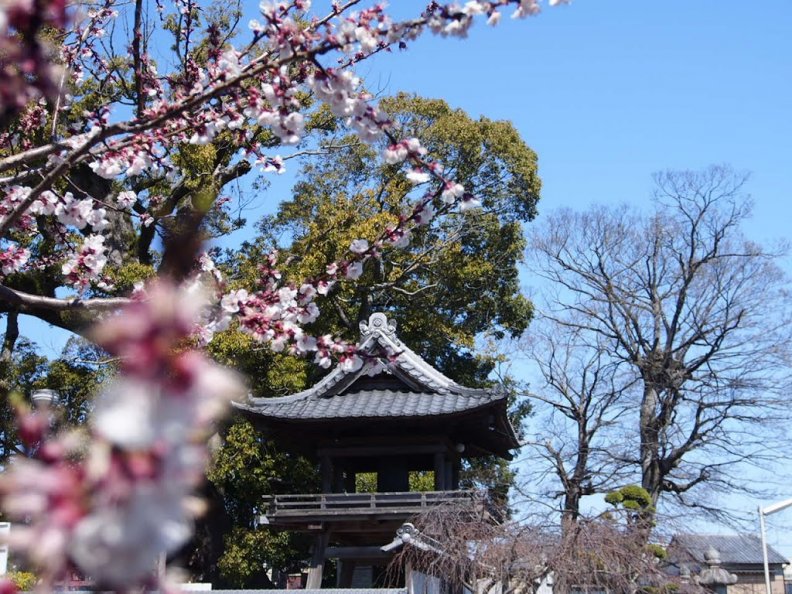 Saiko_ji Temple