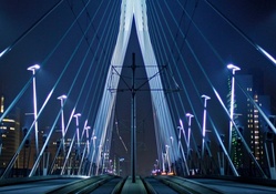modern erasmus bridge in rotterdam at night