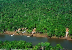 Houses on the Amazon River