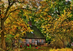 House and Autumn