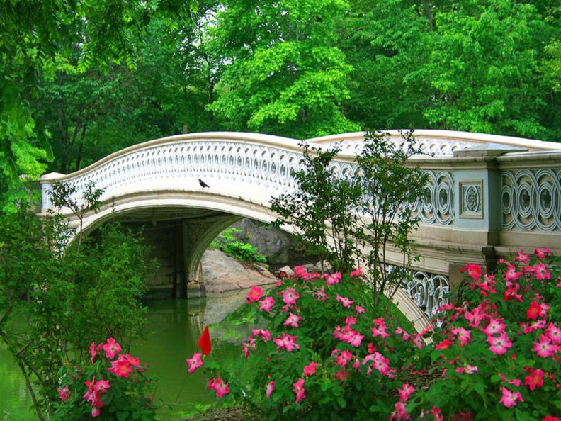 Central park_Bow bridge in spring