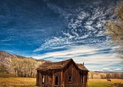 dilapidated cabin on a horse farm hdr