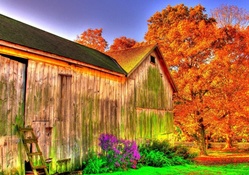 beautiful barn hdr