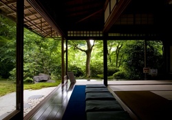 Japanese living room &amp; garden
