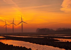 turbine windmills in wetlands at sunset