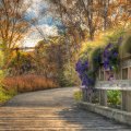 flowers on a wooden bridge on an autumn day hdr