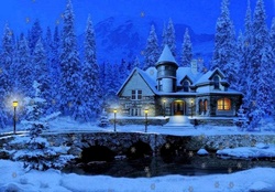 House in winter night