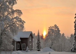forest cabin in winter at sunrise