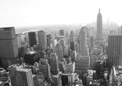 New York City _ Top of the Rock