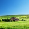 a tuscan farm on a bright summer day