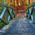 wooden bridge in an autumn forest