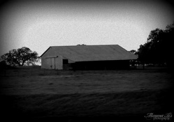Black &amp; White Hay Barn