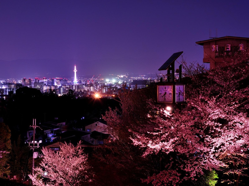 Tokyo Night